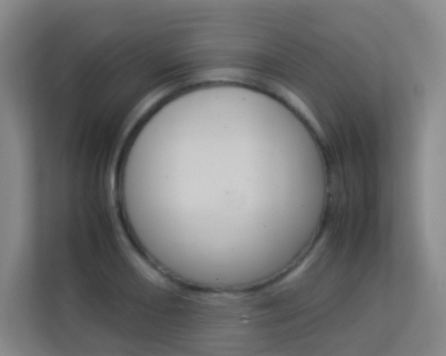 X0000113891082200909241137