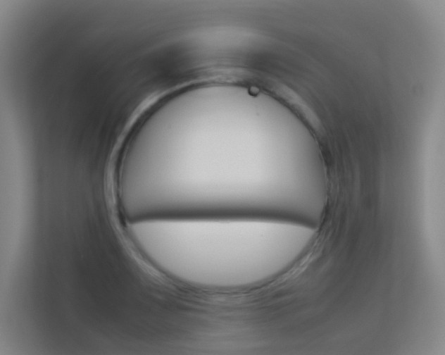 X0000113891083200909241137