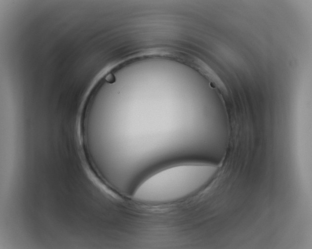 X0000113891084200909241137
