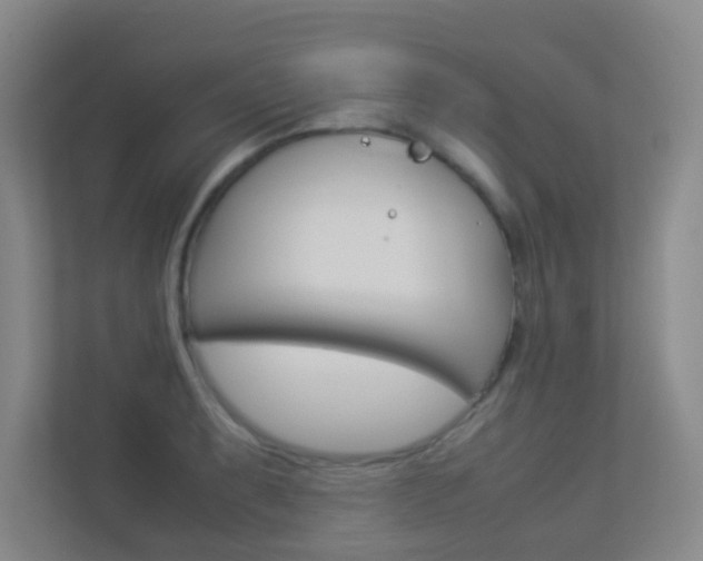 X0000113891087200909241137