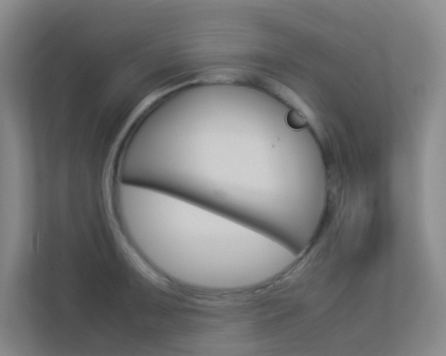 X0000113891091200909241137