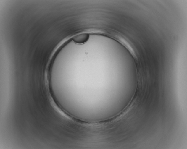 X0000113891092200909241137