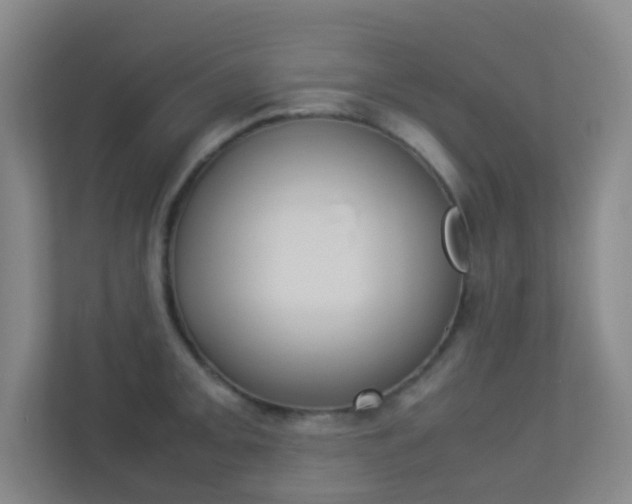 X0000113891093200909241137