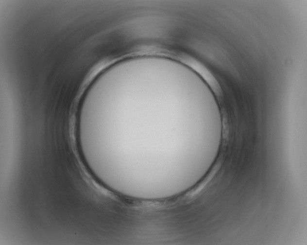 X0000113891094200909241137