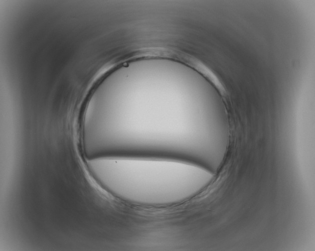X0000113891095200909241137