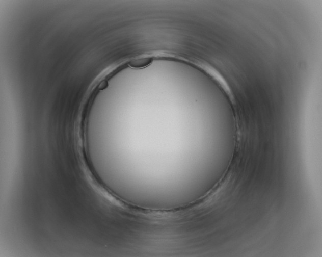 X0000113891096200909241137