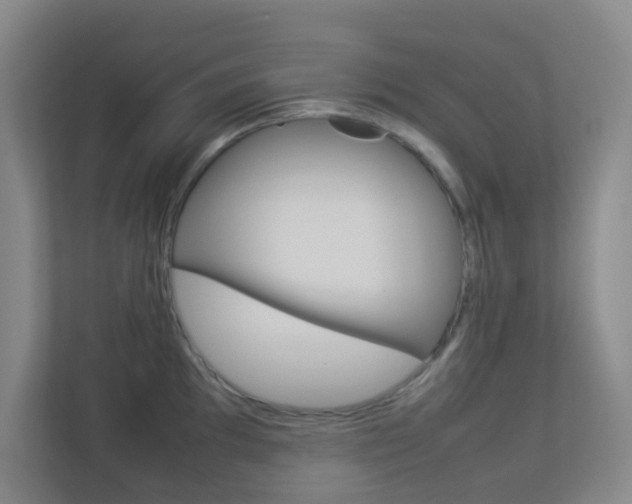 X0000113891097200909241137