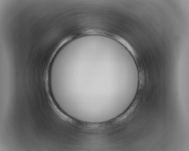 X0000113891098200909241137