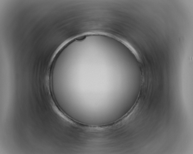 X0000113891100200909241137