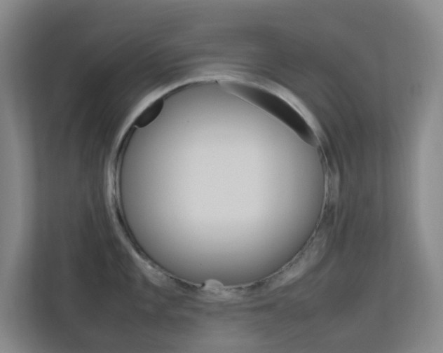 X0000113891101200909241137