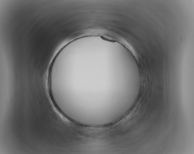 X0000113891103200909241137