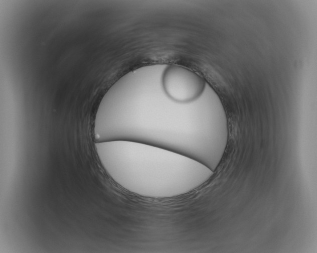X0000113891106200909241136