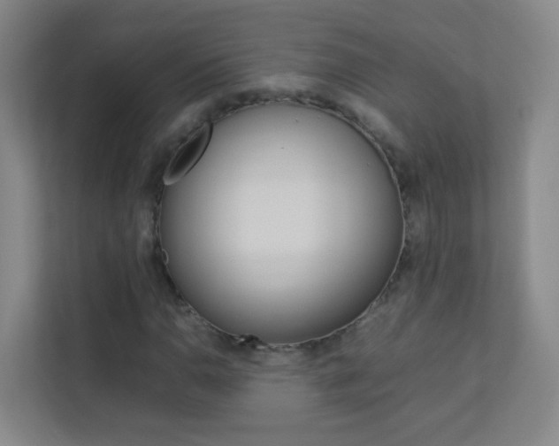 X0000113891110200909241136