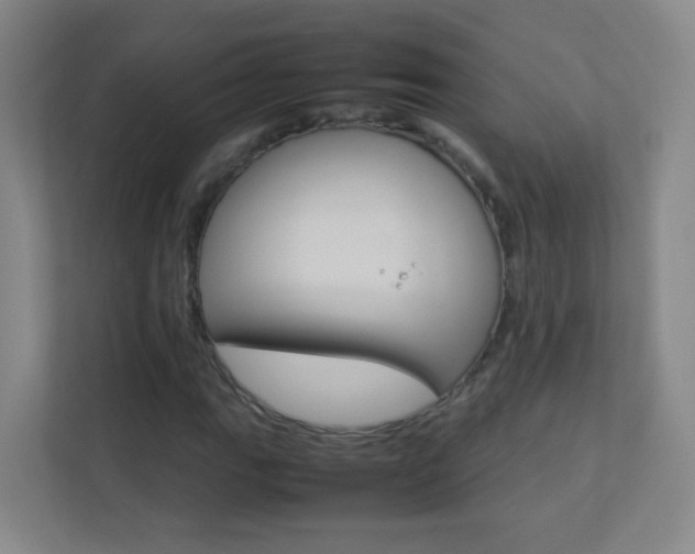 X0000113891111200909241136
