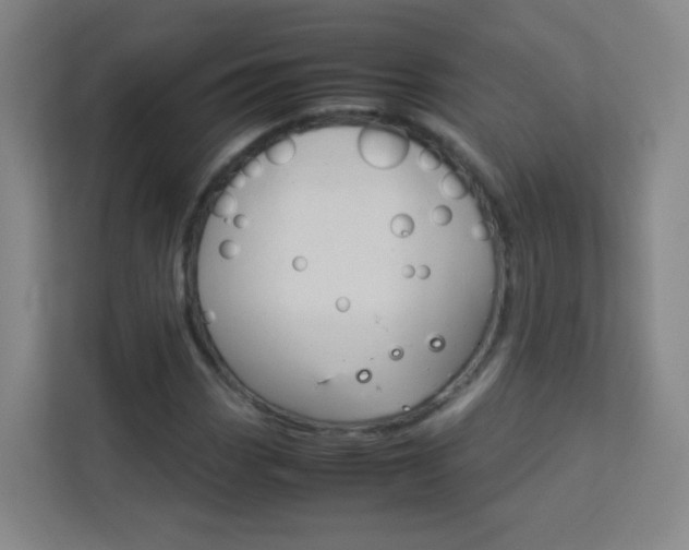 X0000113891113200909241136