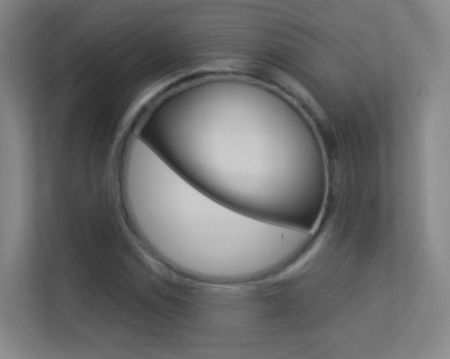 X0000113891114200909241136