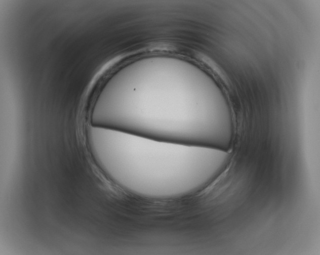 X0000113891115200909241136
