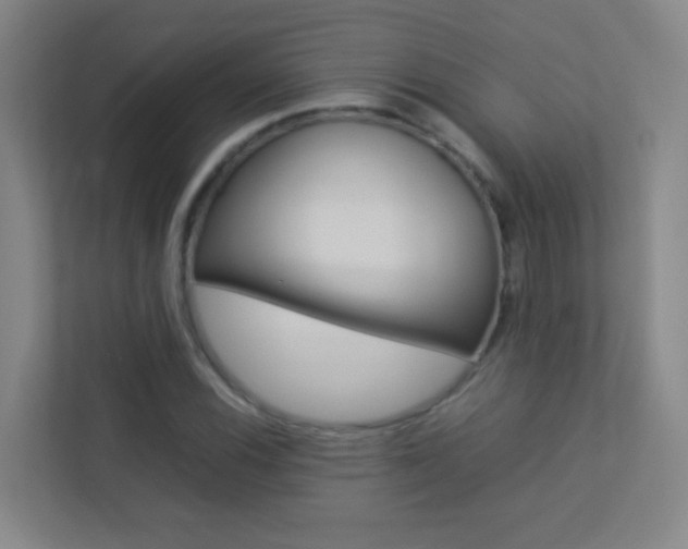 X0000113891116200909241136