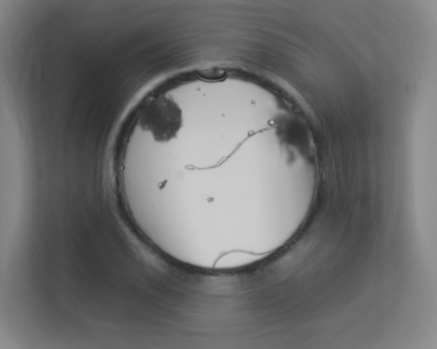 X0000113891118200909241136