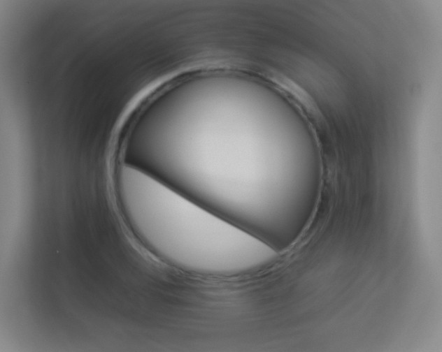 X0000113891120200909241136