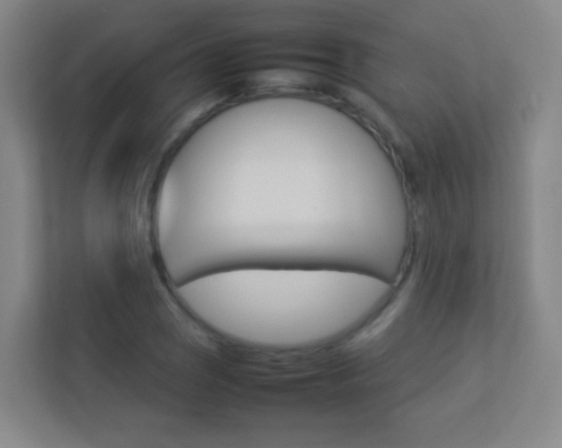 X0000113891121200909241136