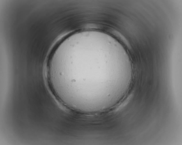 X0000113891125200909241137