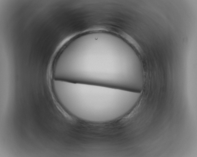 X0000113891127200909241137