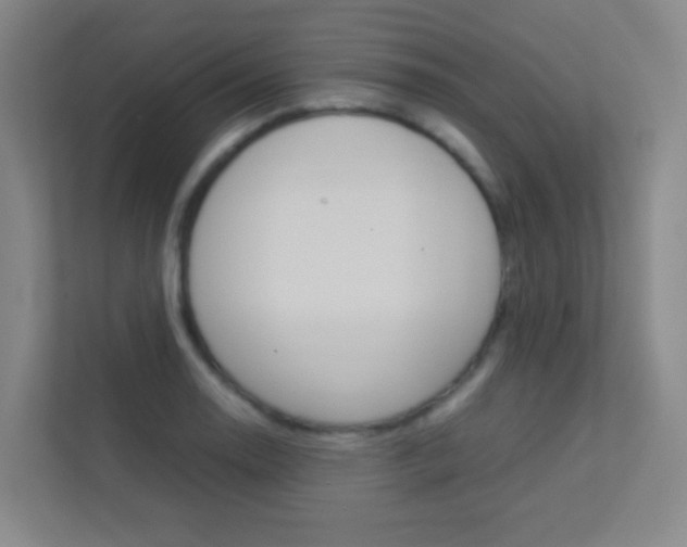 X0000113891130200909241137