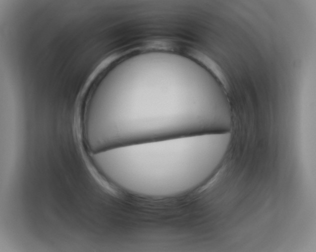 X0000113891131200909241137