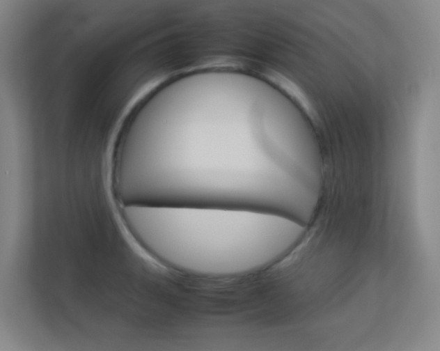 X0000113891135200909241137