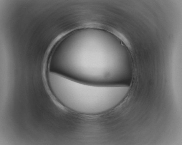 X0000113891136200909241137
