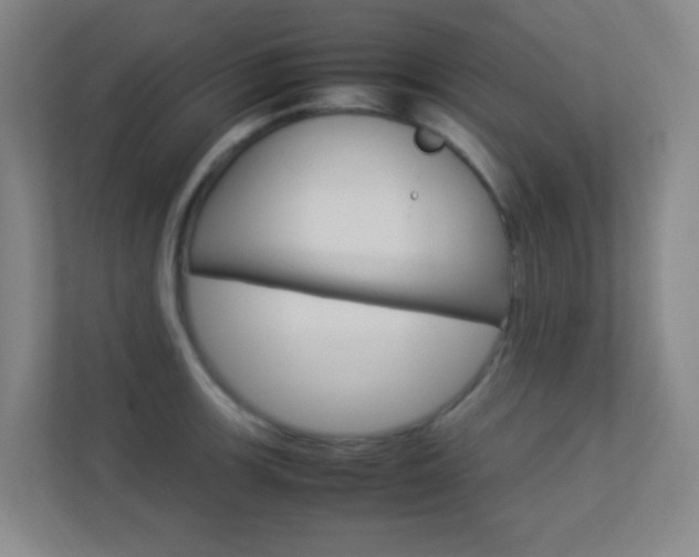 X0000113891139200909241137