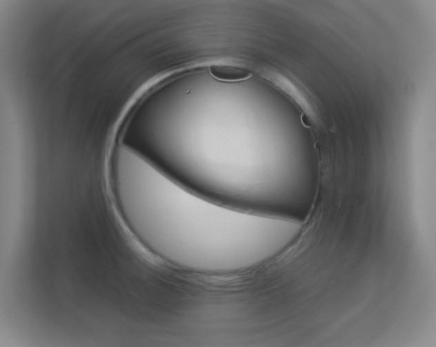 X0000113891140200909241137
