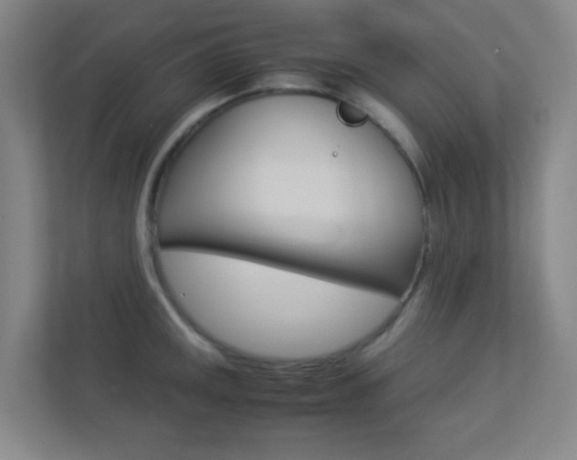 X0000113891141200909241137