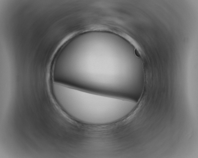 X0000113891142200909241137
