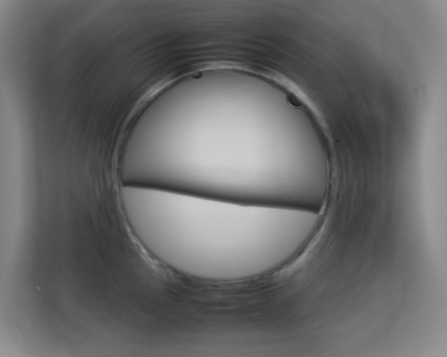 X0000113891145200909241137