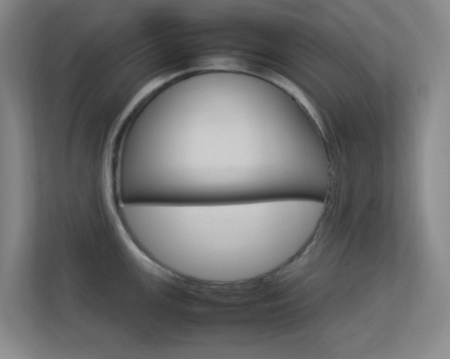 X0000113891147200909241137