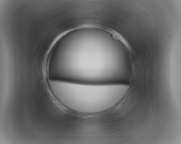 X0000113891148200909241137