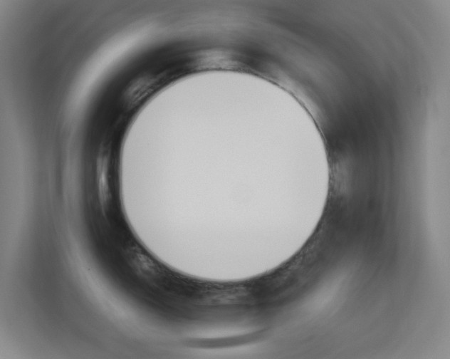 X0000113891150200909241137