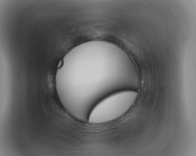 X0000113891156200909241136
