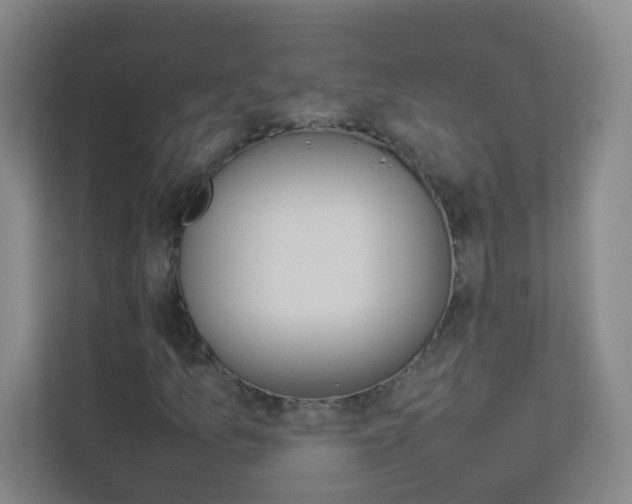 X0000113891157200909241136