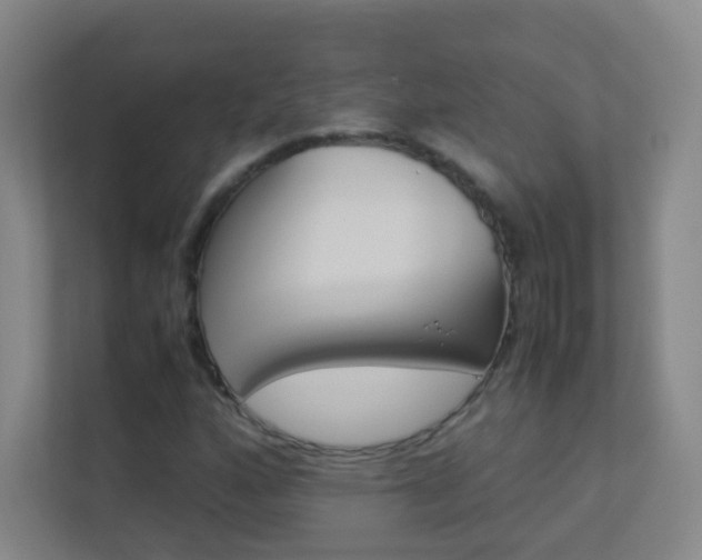 X0000113891160200909241136