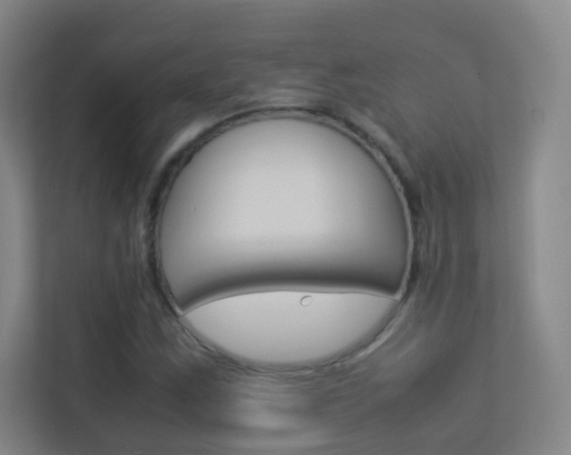 X0000113891163200909241136