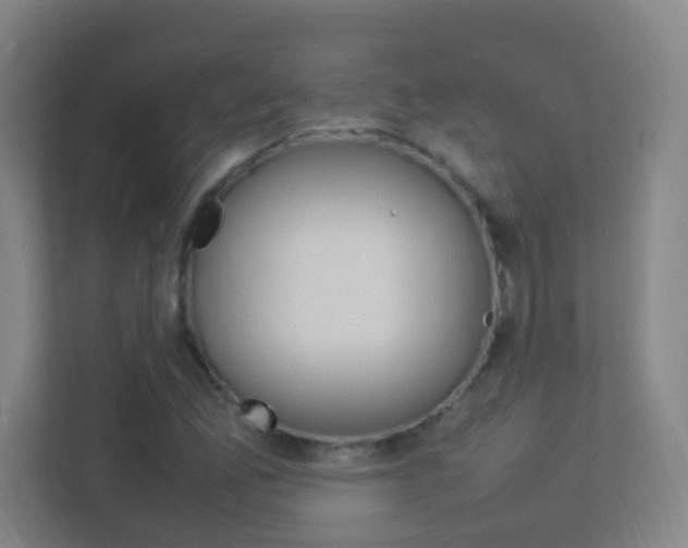 X0000113891165200909241136