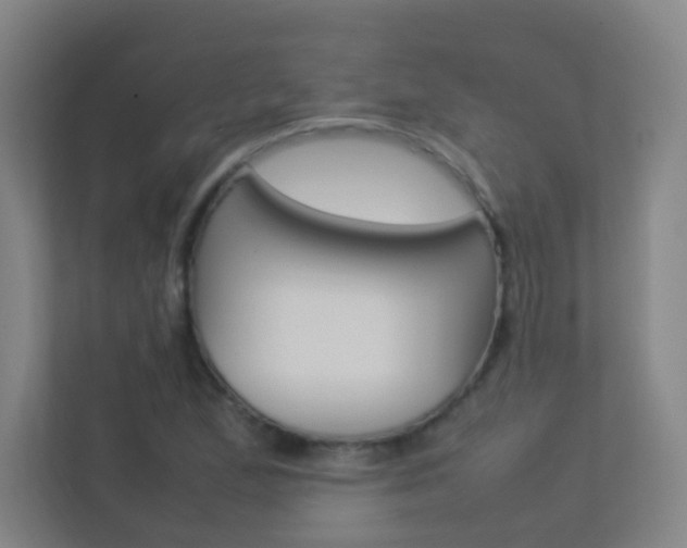 X0000113891167200909241136