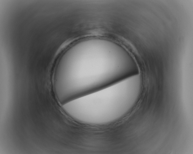 X0000113891168200909241136