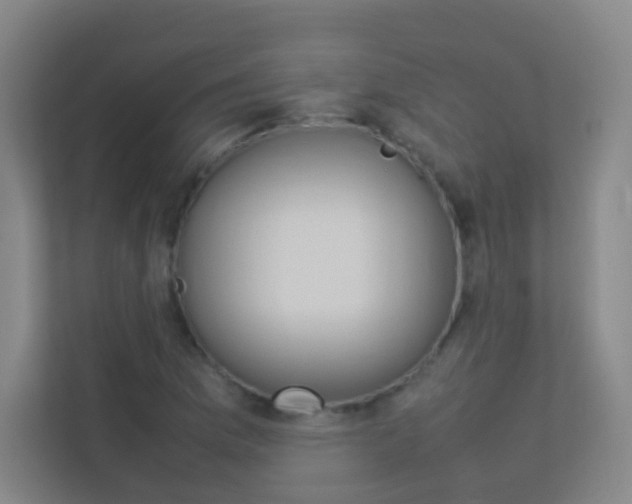 X0000113891169200909241136
