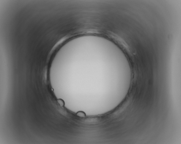 X0000113891174200909241136