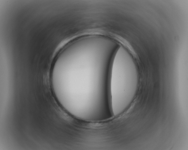 X0000113891176200909241136