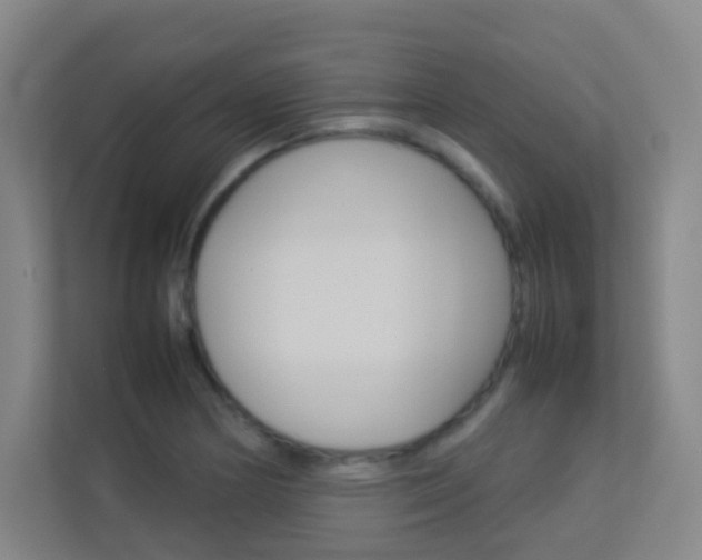X0000113891178200909241136